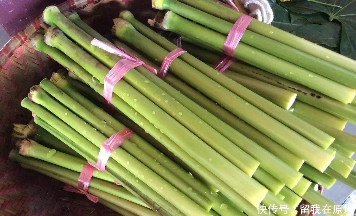 农村渐渐消失的7大野果，越来越稀罕、难得，有的已经看不见了！