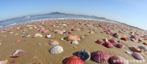 粉红海滩,世界12个特色海滩,你知道的有几个?