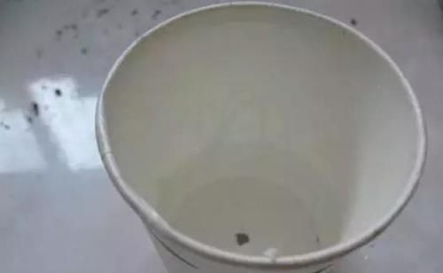  水里■绿化带里剪根枝，丢水里7天就生根，1个大花盆还装不下！