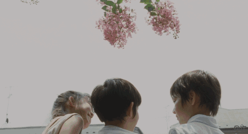 上了哈佛才知道：真正优秀的人，都有这3个习惯