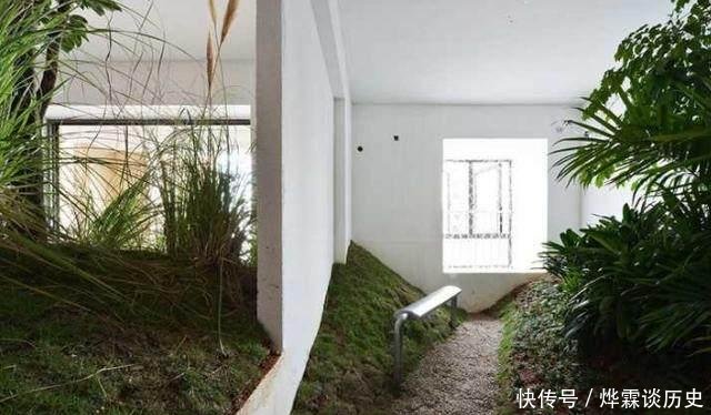  男人@3个男人把出租屋改造成公园, 物业很抓狂, 房东却高兴坏了