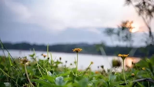 梅州「剑英公园」| 四季风景美如画