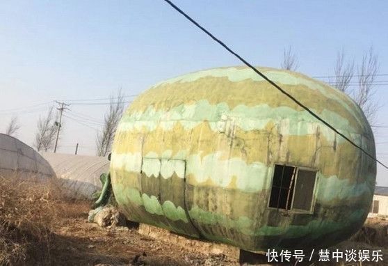  「长出」农民地里长出8米大“巨型西瓜”,细看之后大家都笑了！