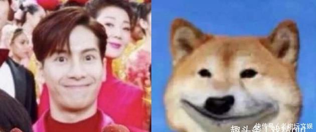 谢娜春节小品歌曲