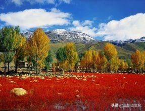 心倦了的时候，品一品这些诗词，过一段属于自己的闲暇时光