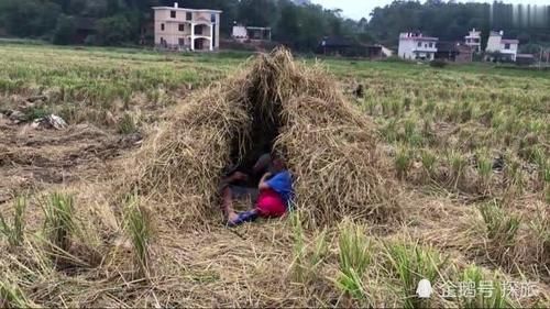  [自然村]从1990年至今，中国农村消失了130万个自然村