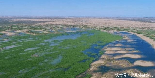中国又一“逆天”工程，将黄河水引入沙漠，演绎沙漠变绿洲！