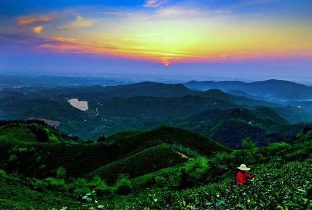 春天就去西九华山、龙津溪地踏青吧 花海、竹林、清泉