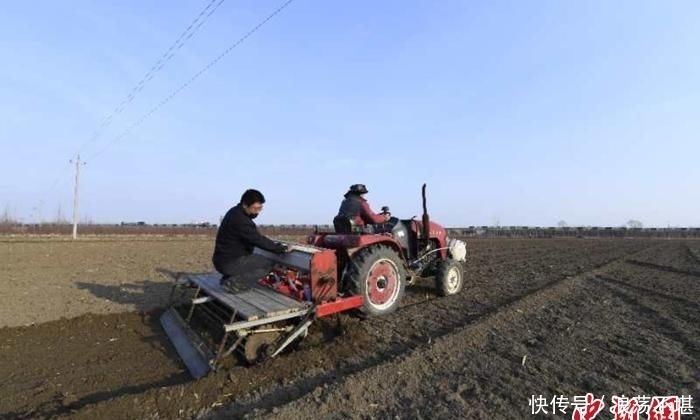  「牛春富」河北种粮大户的春耕：不离乡土 种粮“生金”