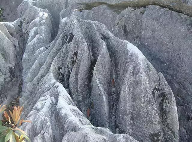 上饶有一处绝美石林,千姿百态美到爆！