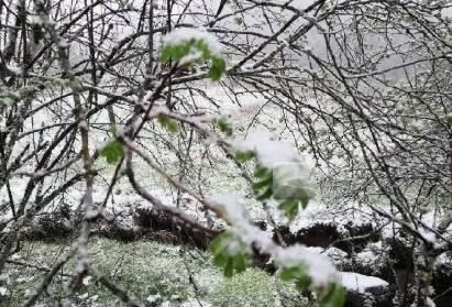 立夏飘雪？“火炉”重庆“名声不保”，市民被迫穿上羽绒服