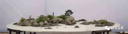 盆景构景十种风格