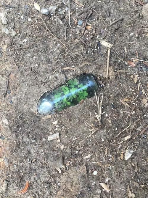 23张不可思议的照片,证明大自然无所不能!