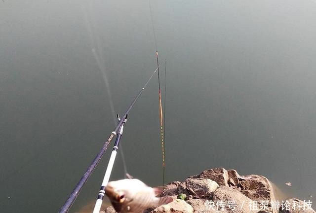 【情况下钓】春季垂钓:何时钓深?何时钓浅?看完这篇文章你就懂了