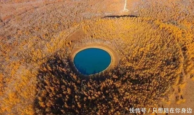 呼伦贝尔的秋天，美的太高级