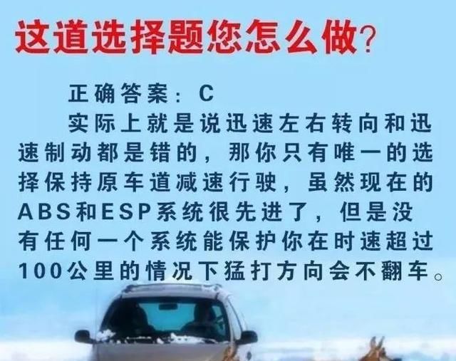 事故■高速事故预警丨为躲小动物，小轿车栽入沟中！如果是你，你躲吗？