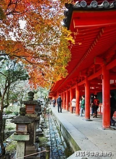  「祈福的灯笼」DAY2日本深度自由行之大阪都门奈良城崎旅行日记