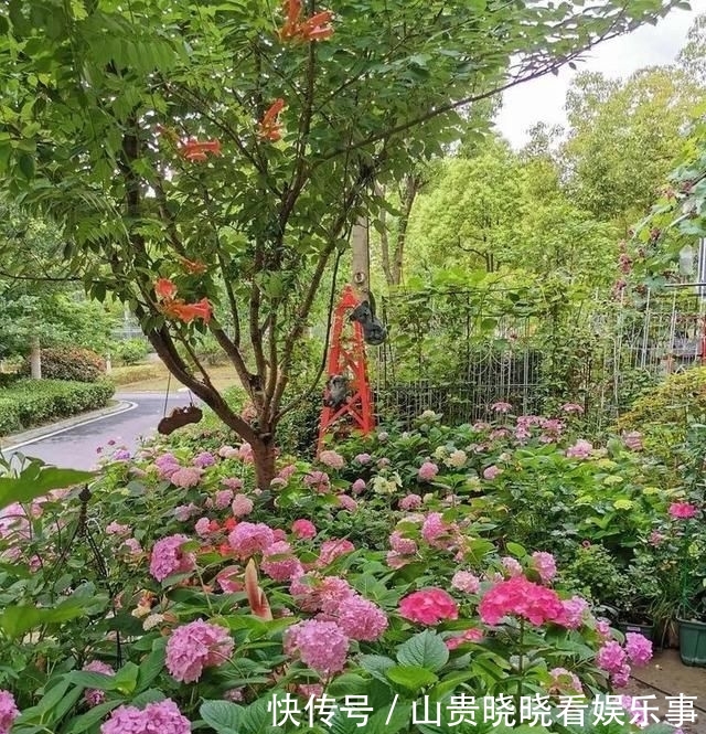  「平方」有了30平方的小院，能将日子过成了诗？简单而精致，优雅而从容！