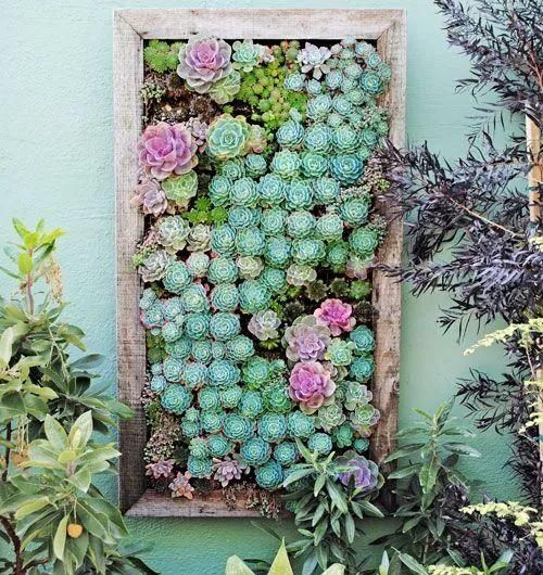  室内植物墙■墙上“种”植物，竟如此好看？