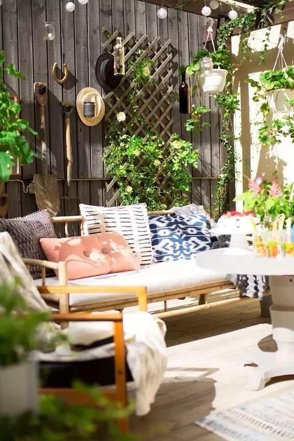 回农村 早院子，可劲造