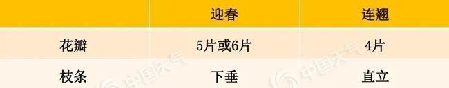  『樱花』天气回暖花开正好，赏花达人速成秘诀看过来