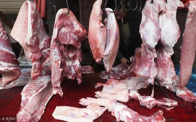 节后猪价走出低谷？非洲猪瘟或成猪价拐点，养殖户盼着呢！