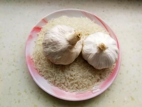  「生虫」生虫了的大米能用太阳晒吗？怎么去掉虫子，好方法要收藏