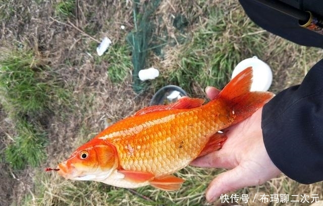  『各有千秋』传统和悬坠钓法各有千秋，优劣势互补才能更好的体验垂钓的乐趣