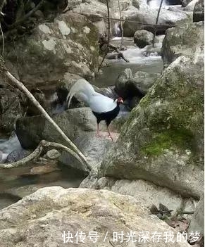 丽水有个隐藏在大山深处的世外桃源，带家人去走走吧