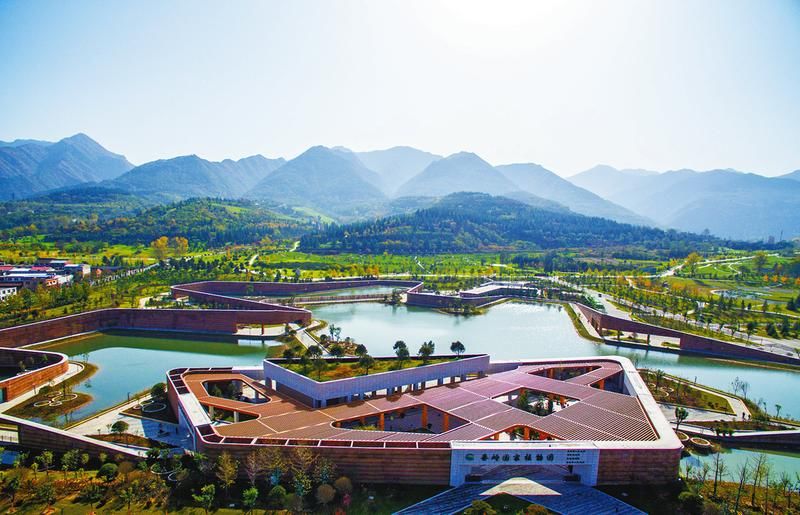 秦岭植物保护|一片叶，记录秦岭的色彩