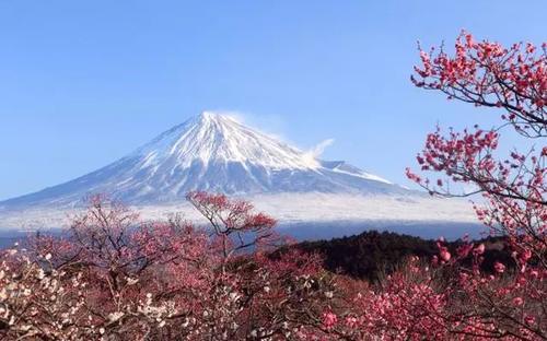 世界上“最牛”房东，日本的富士山竟是租的他家的，每年都交租金