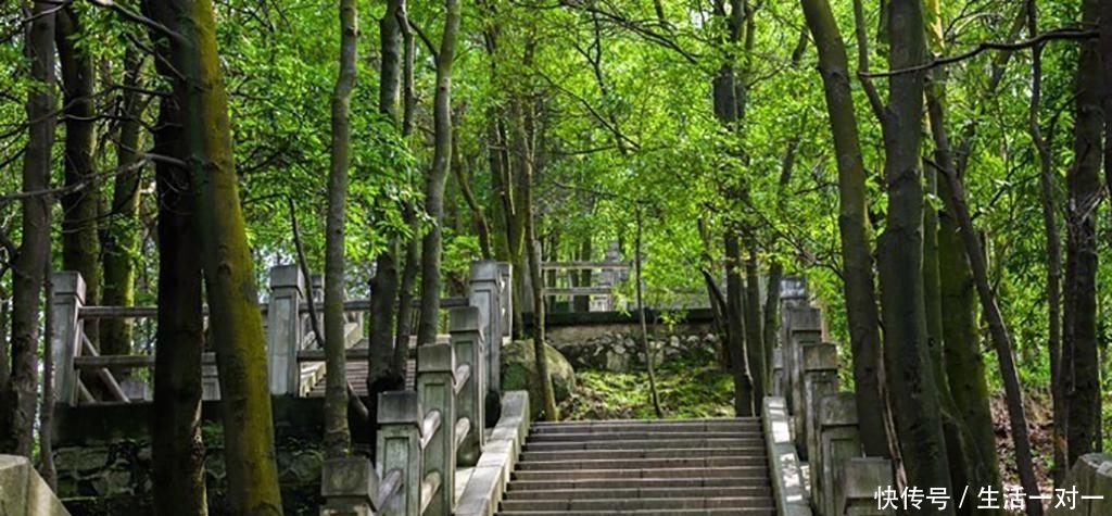 深圳周末周边游玩好去处, 羊台山森林公园, 羊台叠翠深圳八景之一