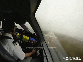 通过19个画面了解从不同角度所看到的世界