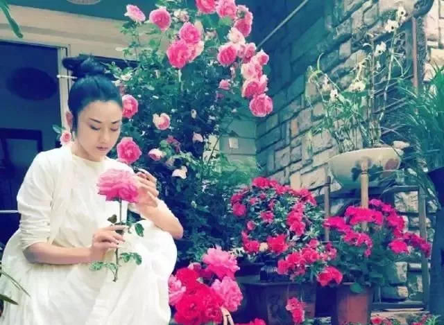  「精致」爱养花的女人，生活充满惊喜，家里处处都精致！