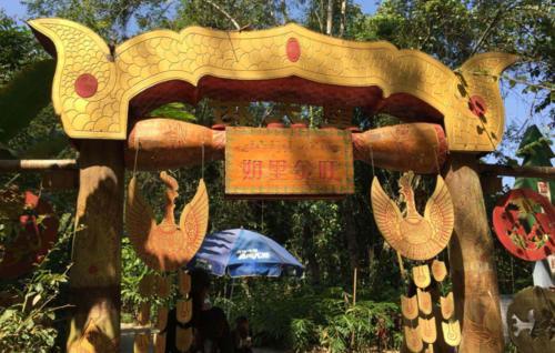 西双版纳望天树景区，有国内独一无二的树冠走廊，是一座天然的氧