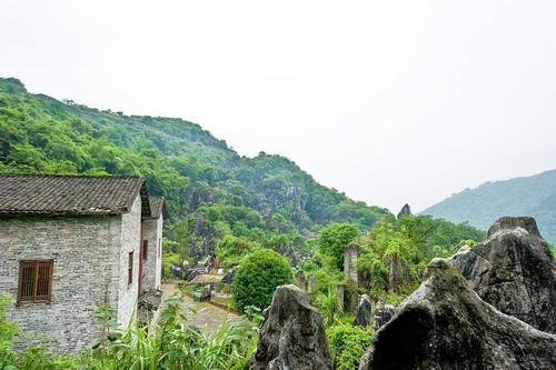 广西最壮观的石林，原生态的风景令人称奇，春节你想去看看吗？