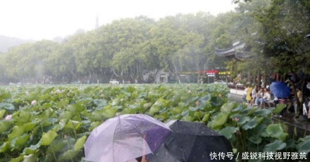 最强台风利奇马肆虐杭州，直击西湖边游客抗台，直呼路都不走稳