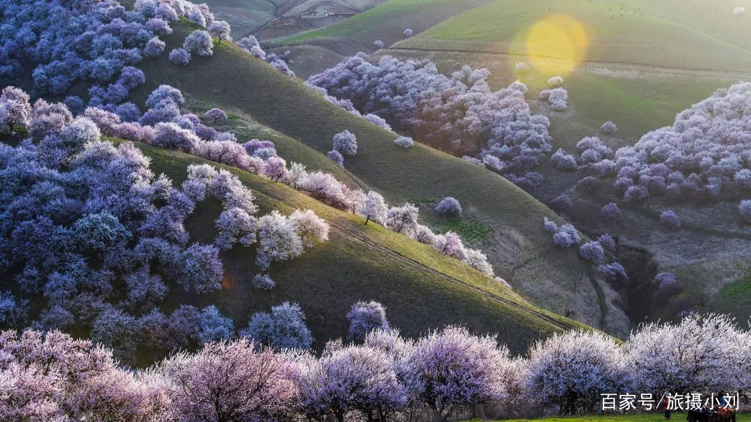  「游客」倒计时8天！清明小长假这13条小众宝藏线路，景色好，游客少！