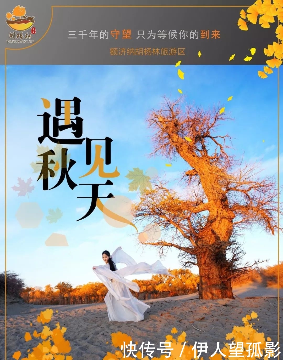 九月,来额济纳胡杨林,与胡杨一起变美