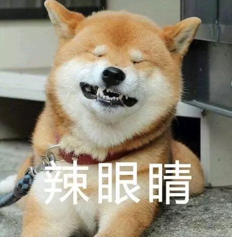 赵丽颖，你不要再cos蜡笔小新啦!