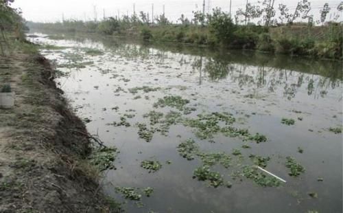  三小时|农村野河钓鲫鱼，三小时钓了5斤多，钓着真过瘾！