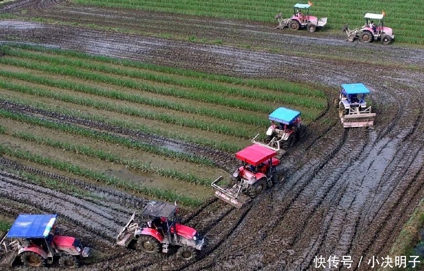 未来5年，农村4种人将‘暴富’，就看你敢不敢干，敢做就有机会