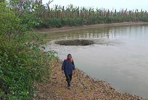 一夜之间,五万多斤鱼不翼而飞,看到鱼塘底部后,男子懵了！