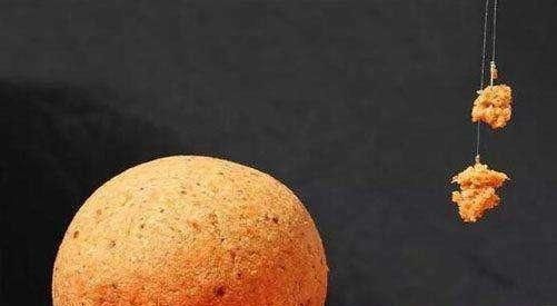 『些钓友』不能钓鱼的8个原因都很吸引人总是有一个适合你的