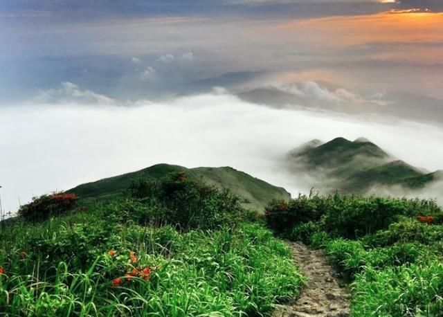 国内最宜居的城市,被称为“世界长寿市”,就在广西