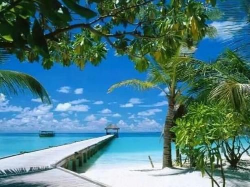 中国10大最宜居城市，你想去定居于哪座呢？