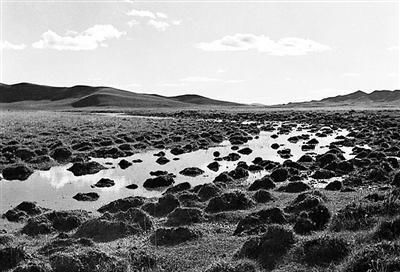 红军长征时走过的草地在哪里？绵延600公里，如今已成为著名景点