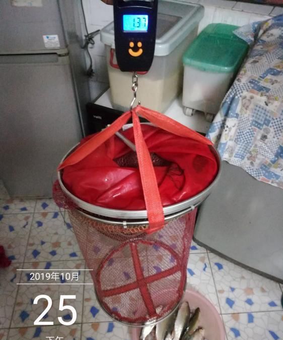「荒期」掌握这14个钓鱼技巧,鱼荒期都能钓到手软!新手每天都要读一遍