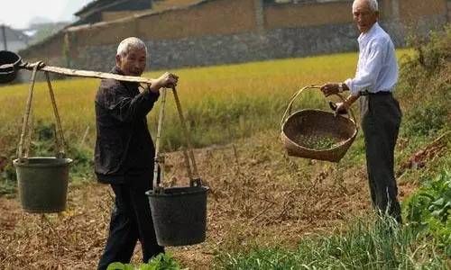 日本人在中国租了1500亩地，闲置5年任荒草疯长，但结果让中国人