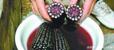 「含有丰富」它是“天然花青素”,每周吃三次,皮肤水嫩有光泽,素颜都很美